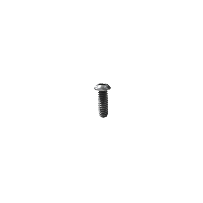 #61 Screw