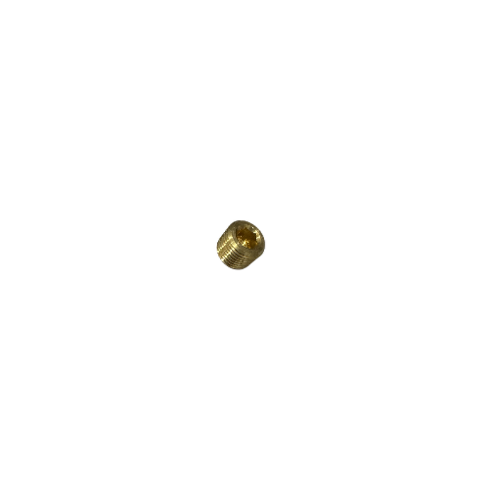 #318 Brass Plug