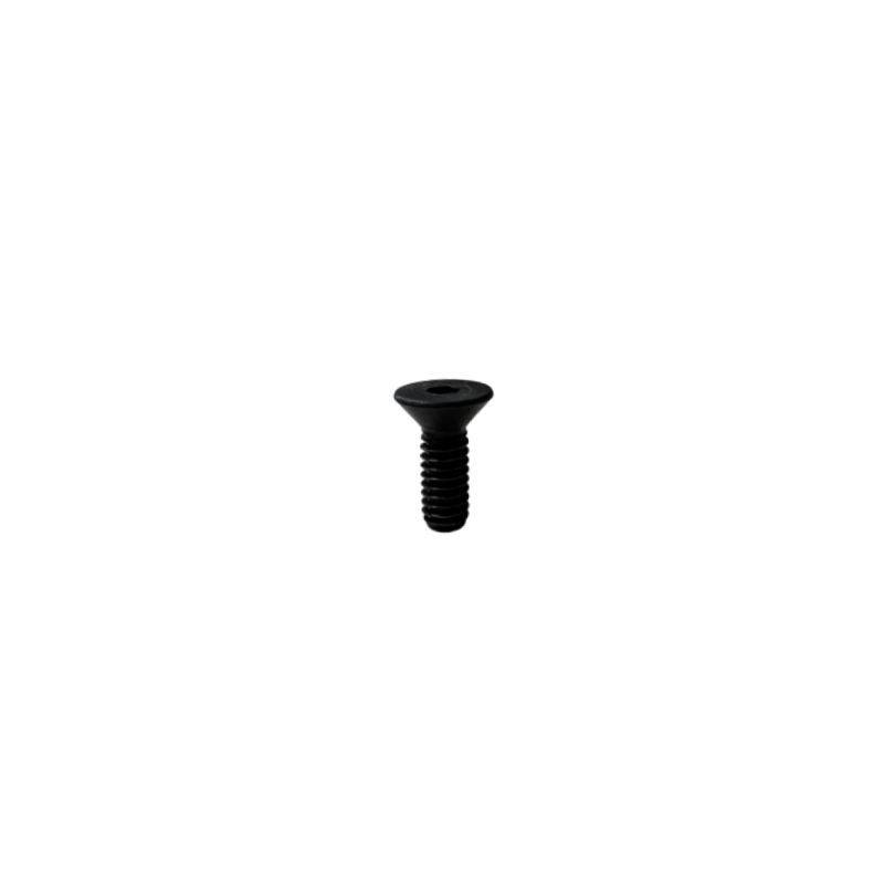 #55 Flat Socket Cap Screw