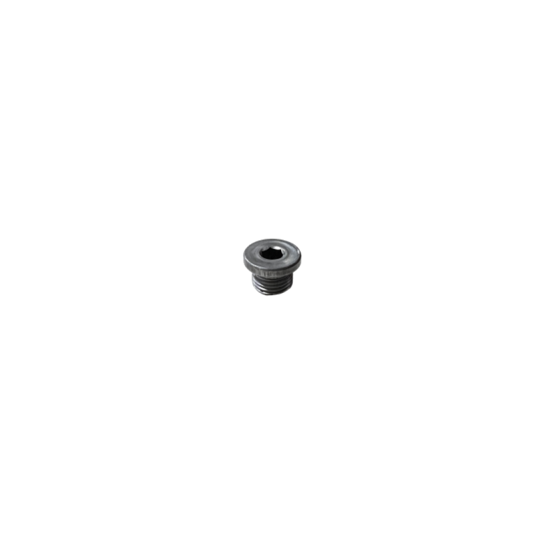 #20-1 Hex Plug