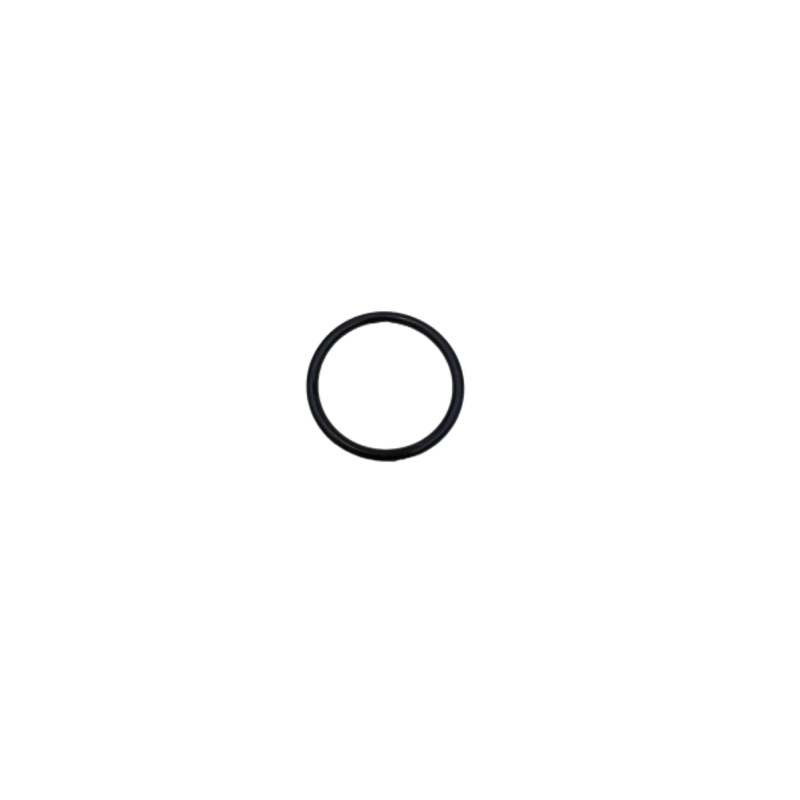#125 O-Ring